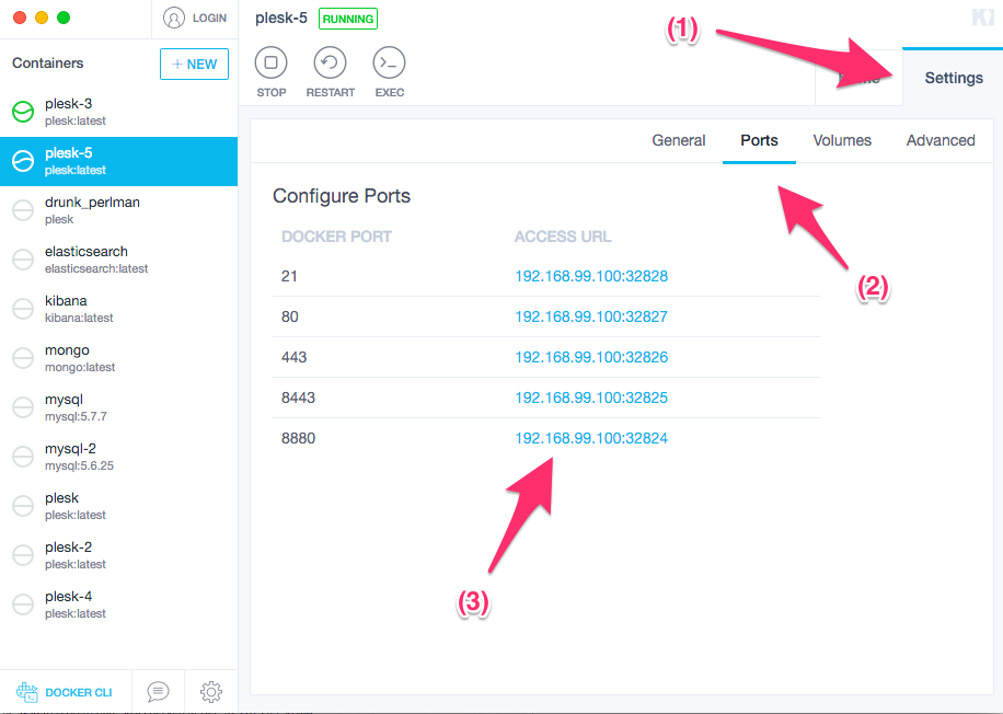 Docker container with Plesk - ports configuration