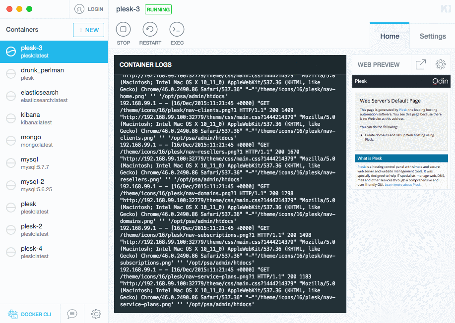 Docker Container with Plesk