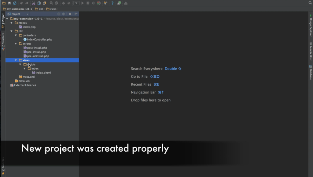 New Plesk extension project was created properly
