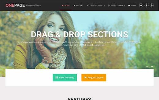 OnePage Responsive WordPress Theme