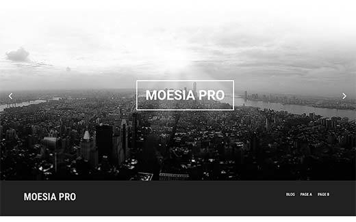 Moesia Pro WordPress theme