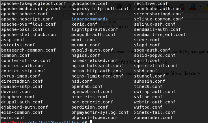 Files inside the filter.d directory
