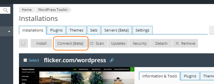 Remote WordPress Management
