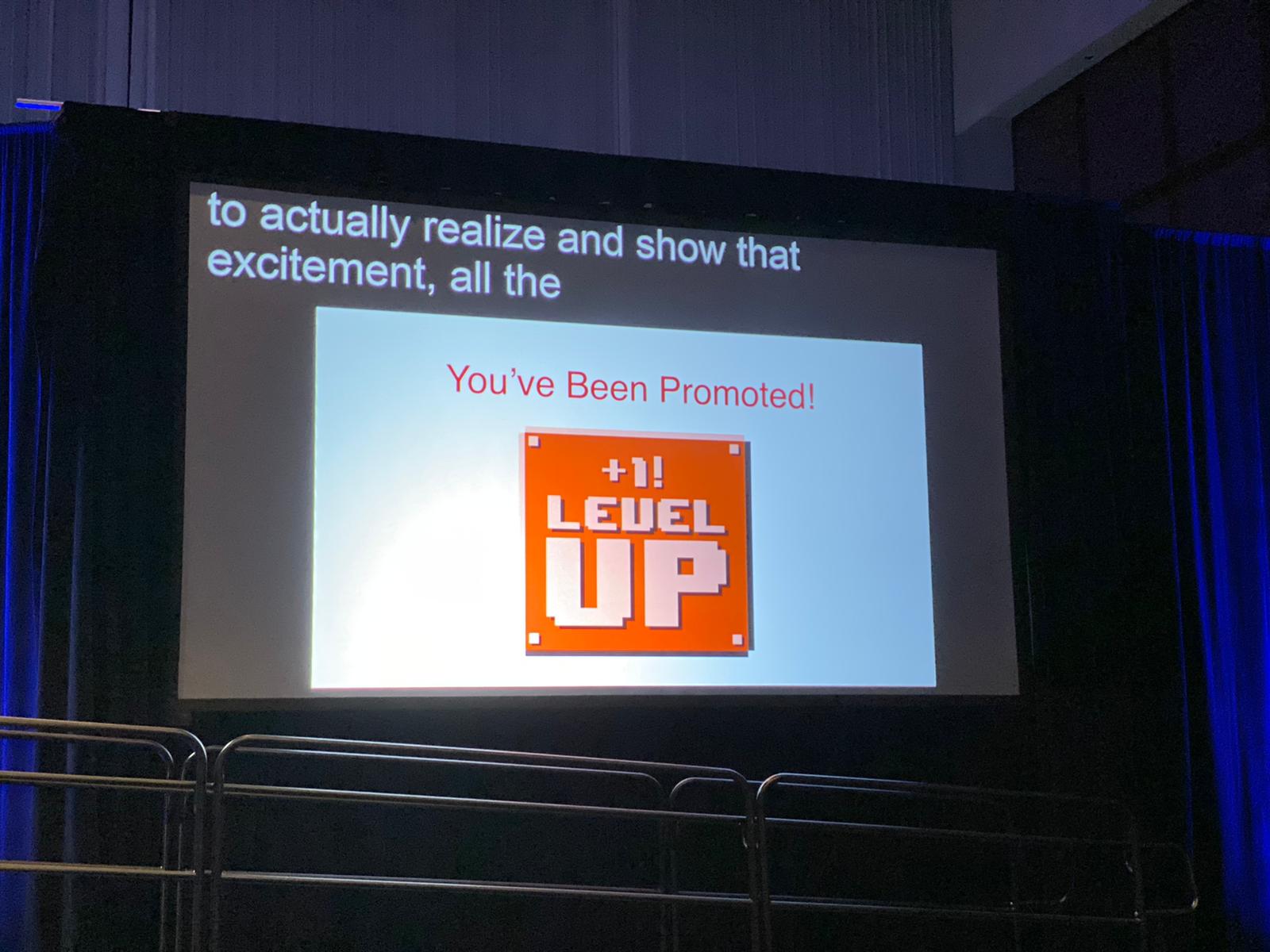 level up - developer to manager