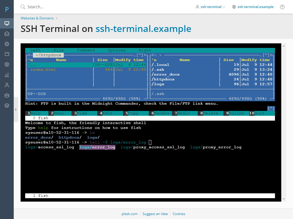 SSH Terminal Plesk blog